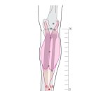 대세메디텍 이미지