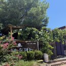 하얀집돈가스 이미지