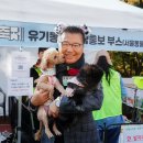 중랑 이미지