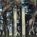 영주 숙수사지 당간지주 이미지