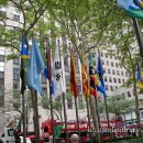 왕기초생활영어 이미지