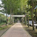 쌍계사 상록수림 | 산책하기 좋은 곳 진도 쌍계사