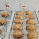 삼송빵집청도이서점 이미지