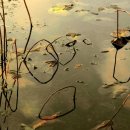 김포시 노인복지회관 이미지