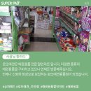 로또애견 용품점 네이버블로그