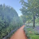 우로지 자연숲 황토길 이미지