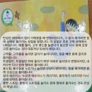 대청초하연과학실험