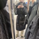 노비스대전신세계 네이버블로그