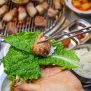 진도새기