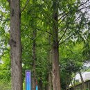 천자총통 | 통영 가볼만한 곳 이순신공원 힐링 산책코스