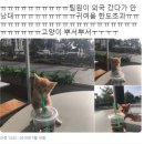 양남 Daum카페