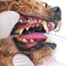 내포조은동물병원 이미지