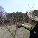 청전농장 이미지