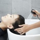 리체헤어 이미지