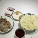 바우동물병원 | 일상기록] 드디어 친 시험, 테슬컷,빈쿤의 춤, 빈쿤의 지누펌, 노을과 함께한 진해 한바쿠, 빈쿤 독감주사