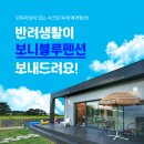 보니블루펜션 이미지