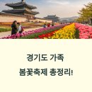 용인문화유적전시관 | 2025년 5월 경기도 가족 축제 일정 총정리 – 아이와 가볼만한 곳 TOP 7