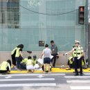 옐로카펫 이미지