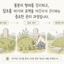 효심장묘 - 금산군 은행나무길 45 | 효심장묘