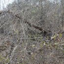 내방상삼로 이미지