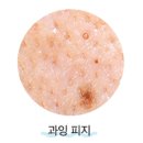 몬스터 팩토리 이미지