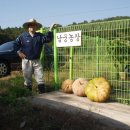 남궁농장 이미지