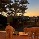 문화병원매점 이미지