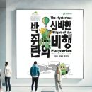 [세종 가볼만한 곳] 국립세종식물원 야간개장, 박쥐란 전시 관람 후기