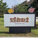 48 | 세종도도리파크 조치원 놀이터, 체험 주말방문후기 48개월 이후 추천!