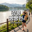 멋에 물들다 | [[B:강릉 빵빵런 2026]] 생생 후기! 10km 코스 기념품 주차 꿀팁 총정리