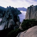 장사어촌체험마을 이미지