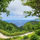 오네노네 이미지