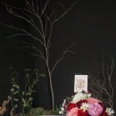 화이트윗치