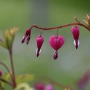 상애농장 이미지