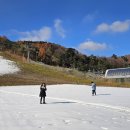 무주펜션 풀빌라 숲빛 | 무주 대가족 숙소 덕유산 여행시 이용하기 좋은 독채 펜션 풀빌라 숲빛