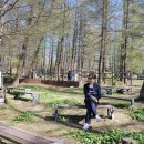 권실장 참마 찹쌀꽈배기 태백황지점 이미지