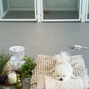 아로마 멍# 이미지