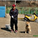 진도개메디컬센터 이미지
