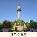 네네치킨안서점 | 6세 아이와 대구 가볼만한 곳인 이월드 추천코스 후기