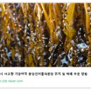 중앙건어물 - 노원구 | 중앙건어물