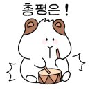 쿠잉케익2017 이미지