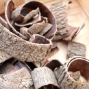 노내골농장 이미지