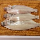 그린수산 - 완도군 | 그린수산
