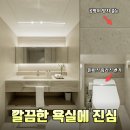 성도도기타일건재 | 아파트 욕실 리모델링 팁, 퍼플렉스 줄눈·림리스 변기