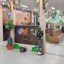 경기도 야생동물 구조관리센터 이미지