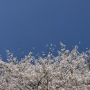 르노삼성자동차지정정비코너 | 인천 구월동 맛집 쭈꾸미볶음 복사꽃피는집 세트메뉴 후기