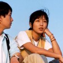 국화꽃향기 이미지