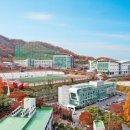 용인대학교 이미지