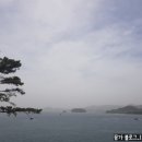 진고개횟집
