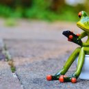 유찬식품 이미지